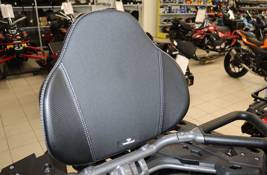 Квадроцикл PROMAX RENEGADE 300 LONG WINCH PRO в Энгельсе