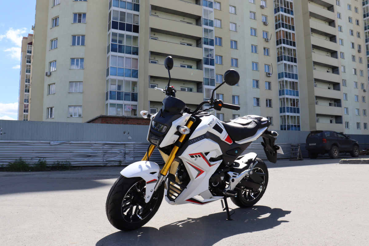 Мотоцикл PROMAX STRYKER 200(49) 2.0 в Энгельсе
