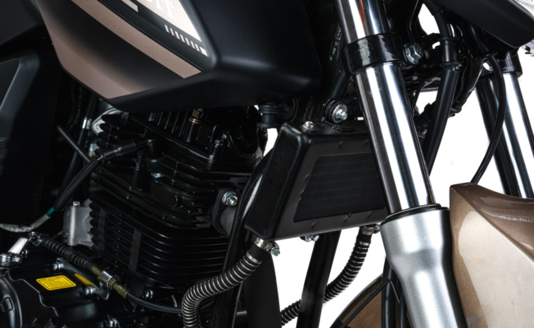 Мотоцикл MOTOLAND (МОТОЛЕНД) 300 BANDIT в Энгельсе