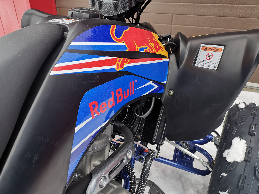 Квадроцикл PROMAX RAPTOR 300 NEW RedBull в Энгельсе