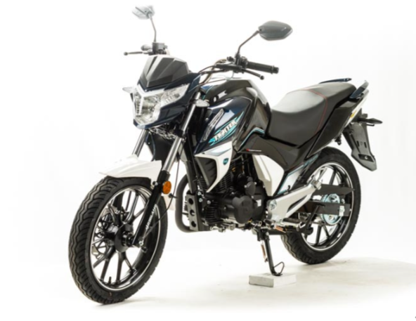 Мотоцикл MOTOLAND (МОТОЛЕНД) FIGHTER 250 в Энгельсе