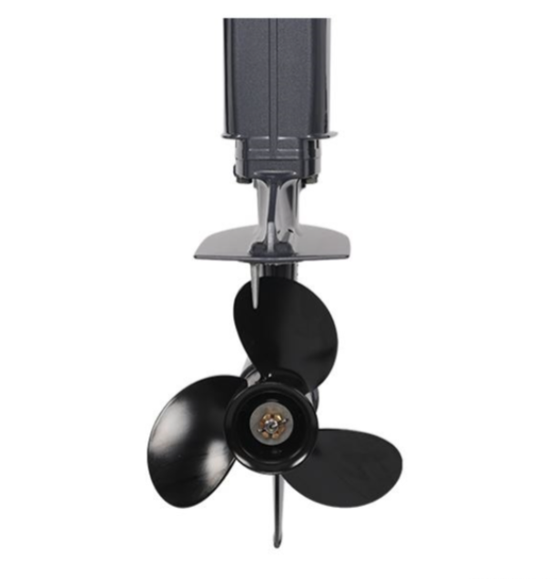 Лодочный мотор ALLFA CG Т40FW S в Энгельсе