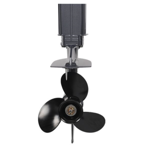 Лодочный мотор ALLFA CG Т40FWT S в Энгельсе