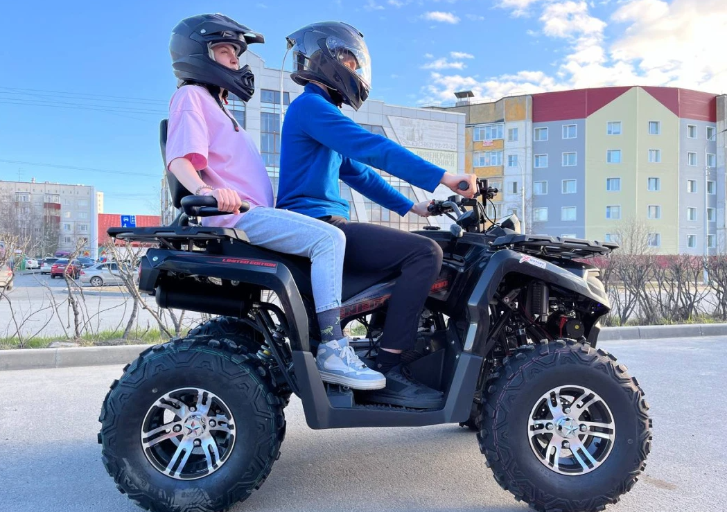 Квадроцикл PROMAX RENEGADE 300 LONG WINCH PRO в Энгельсе