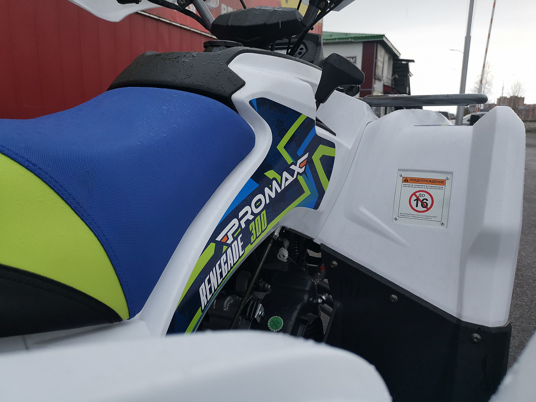 Квадроцикл PROMAX RENEGADE 280 LUX в Энгельсе