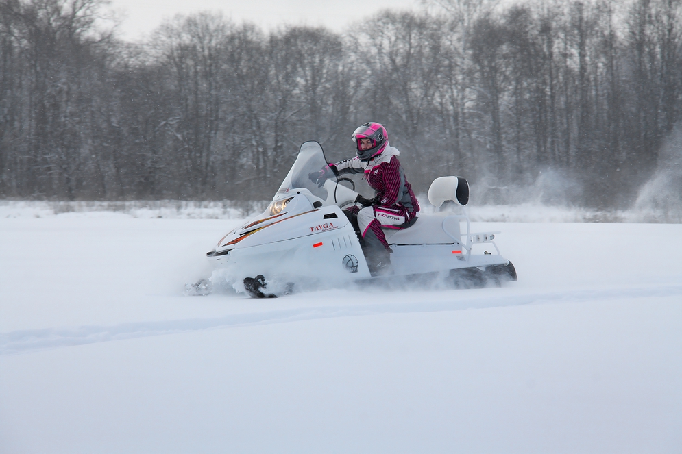 Снегоход Русская механика РМ TAYGA PATRUL 551 SWT в Энгельсе