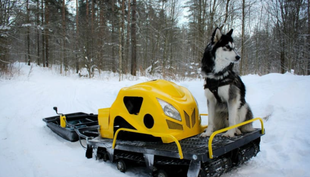 Мотобуксировщик LEBEDEV MOTORS ВОЛКОДАВ POWER V13 в Энгельсе