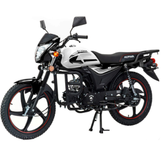 Мопед MOTOLAND (МОТОЛЕНД) Альфа RS 11 (LM48-B) в Энгельсе