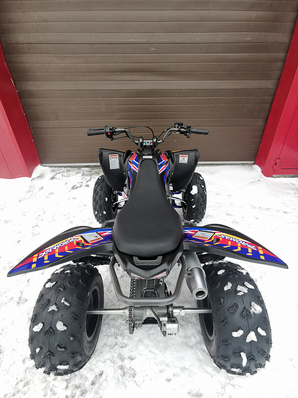 Квадроцикл PROMAX RAPTOR 300 NEW RedBull в Энгельсе