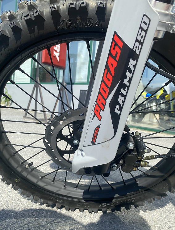 Мотоцикл Progasi PALMA 300 NEW (CB300F) в Энгельсе