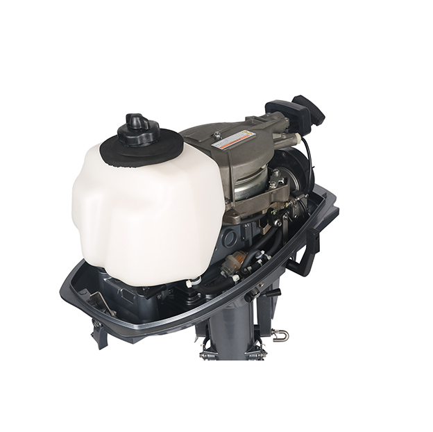 ЛОДОЧНЫЙ МОТОР ALLFA CG T5 в Энгельсе