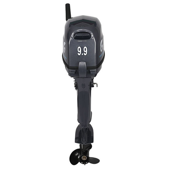 Лодочный мотор ALLFA CG Т9.9(20)MAX в Энгельсе