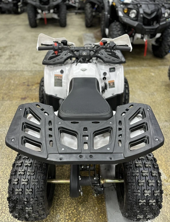 Квадроцикл PROMAX WILD 2.0 190 в Энгельсе