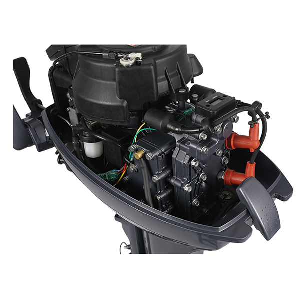 ЛОДОЧНЫЙ МОТОР ALLFA CG Т9,9 Limit в Энгельсе