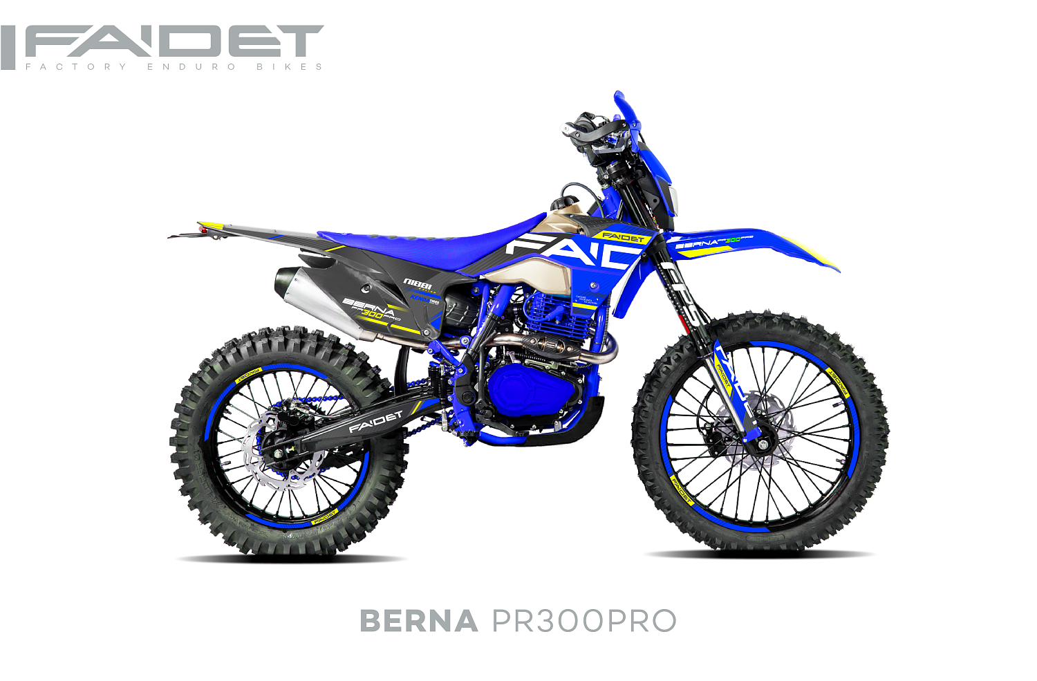 Кроссовый мотоцикл FAIDET BERNA PR300-PRO FPS в Энгельсе