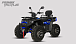 Квадроцикл PROMAX TAURUS 300 MAX-PRO LONG в Энгельсе