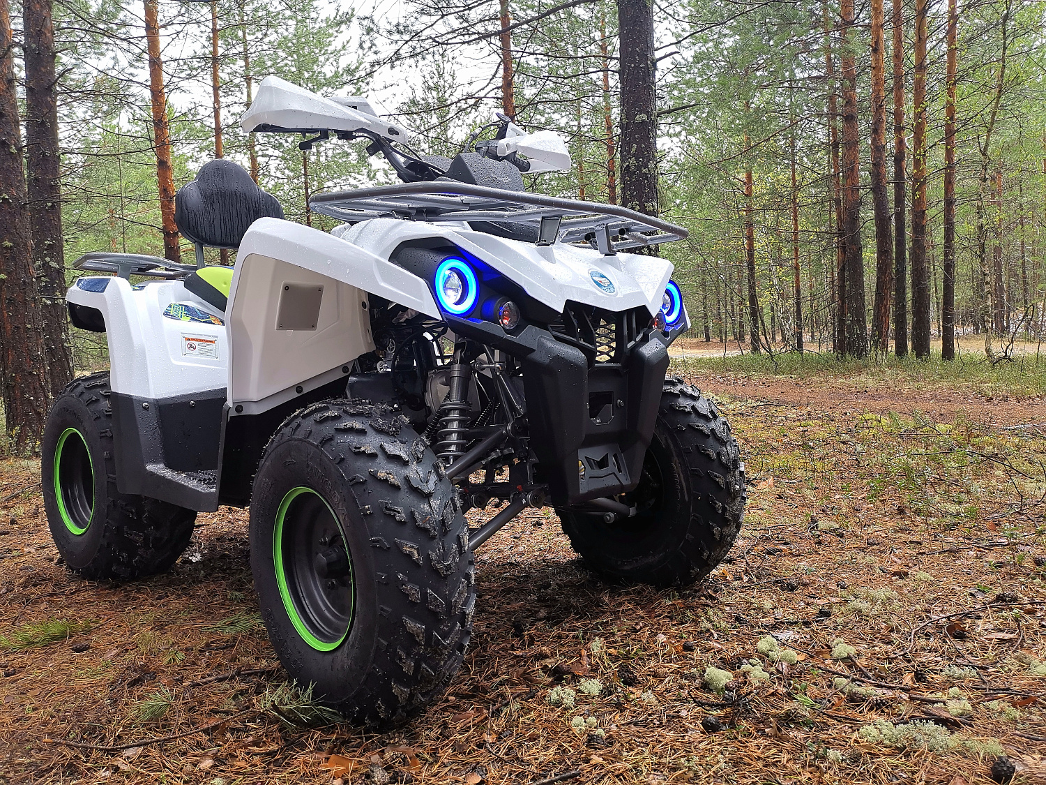 Квадроцикл PROMAX RENEGADE 280 в Энгельсе