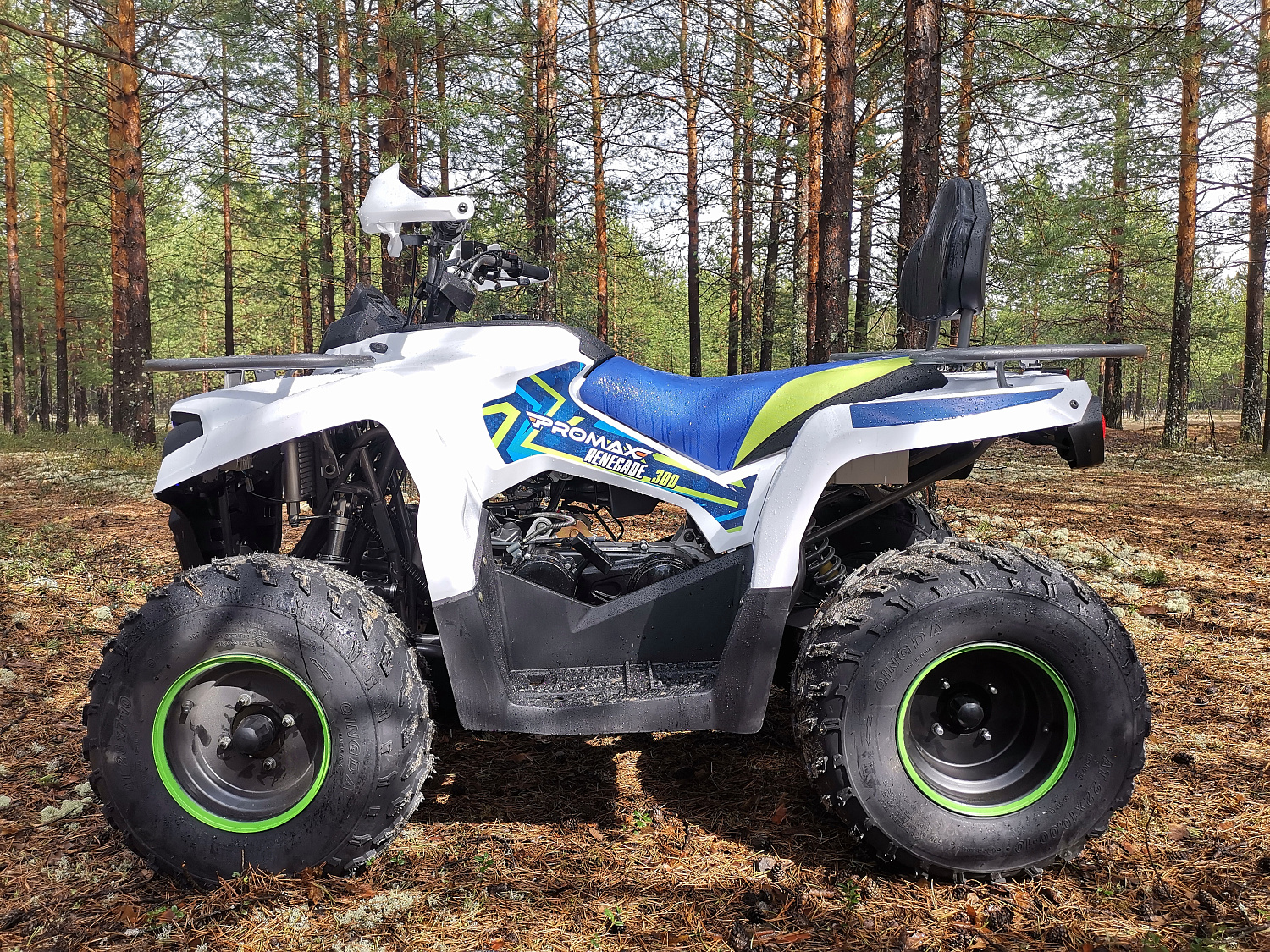 Квадроцикл PROMAX RENEGADE 280 в Энгельсе