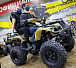 Квадроцикл PROMAX ATV 250 в Энгельсе