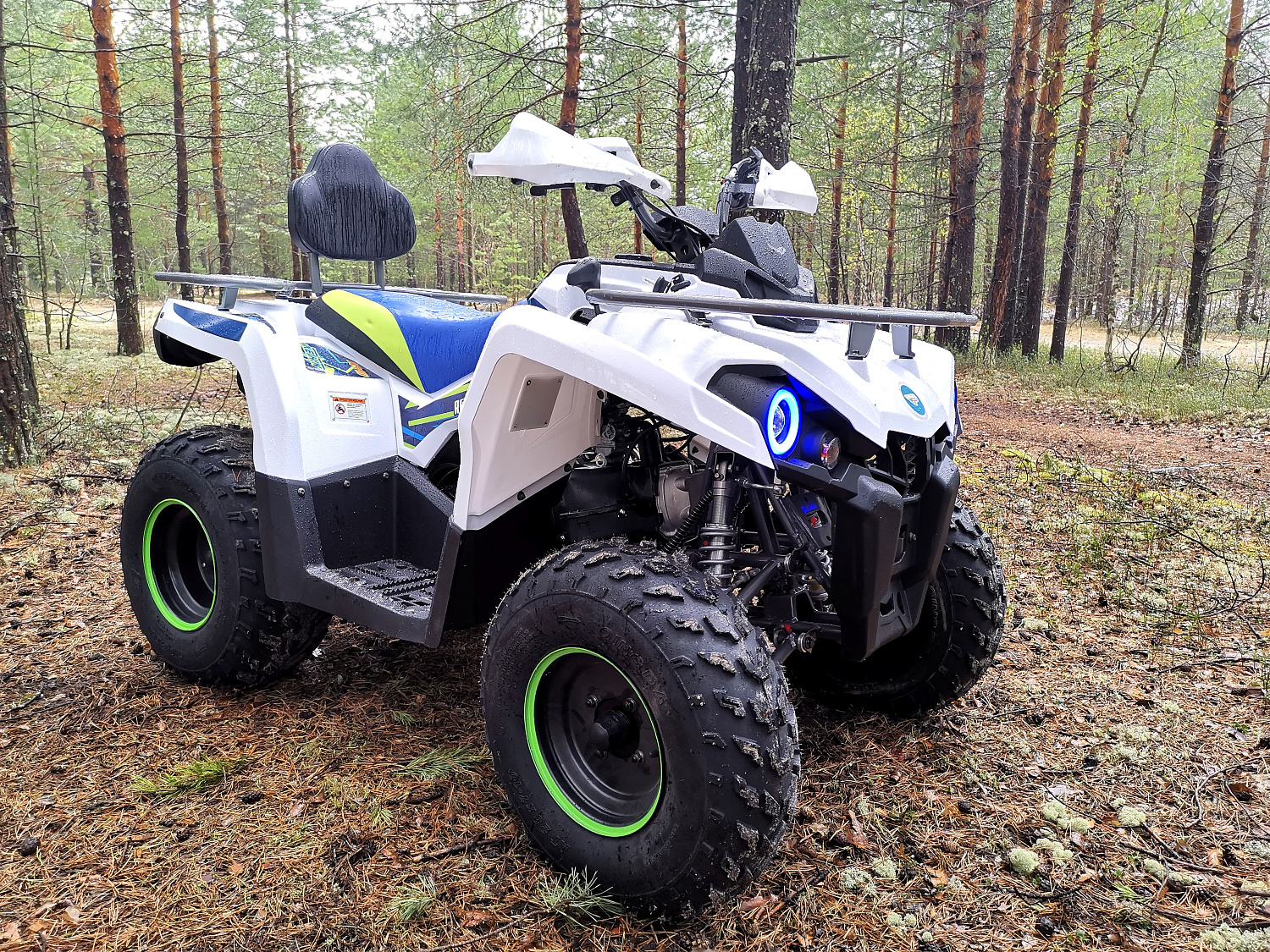 Квадроцикл PROMAX RENEGADE 280 в Энгельсе