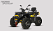 Квадроцикл PROMAX TAURUS 300 MAX-PRO LONG в Энгельсе